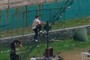 Cameraman