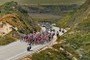 Tour of California Peleton