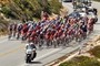 Peleton Closeup