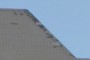 Time to call the roofer?