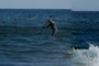 Standup paddle surfer
