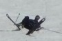 Skier