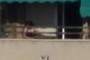 Tomando el sol