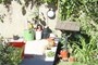 Neighbours garden