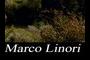 Marco Linori