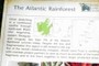 The Atlantic Rainforest