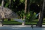 Hammock