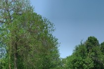 143495-210x140