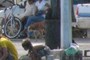 Stray dog