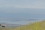 Dumbarton Bridge