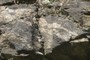 Deformation