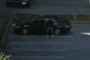 Car thief