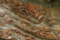 144958-210x140