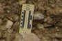 Scale
