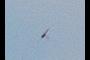 birdie