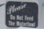 Please do not feed the waterfowl