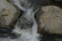 146209-210x140