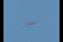 Another flying animal?