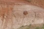 Dropstone
