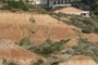 Red Brown Pleistocene alluvial silts and clays