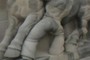 Muscular Buttocks