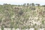 Eruptive Ash Layer
