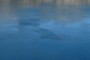 77 meters deep