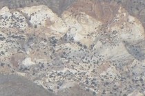 147046-210x140