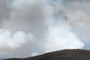 Plume