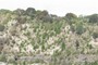 Ash / Eruptive layer