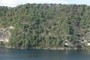 Landslide / Landslip