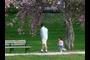 a walk in the park