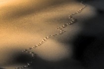 147834-210x140
