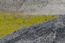 147983-210x140