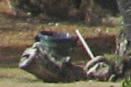 Garbage Can?