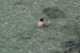 swimmer