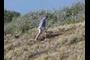 Hill climber