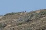 peopl up on hill