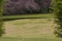 Gap in the hedge