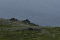 149663-210x140