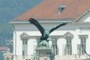 The Turul bird up in the Castle of Buda