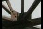 Count the rivets