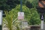 Speciesism in Bath