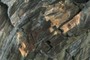 Oxidation
