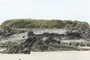 Green Island