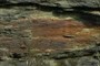 Oxidation