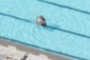 Woman with swimming spaghetti