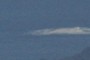 Whale!