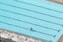 Swimmer