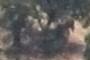Alien Spacecraft
